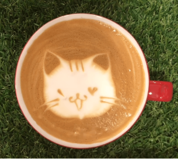 6 tipos diferentes de arte con leche de gato